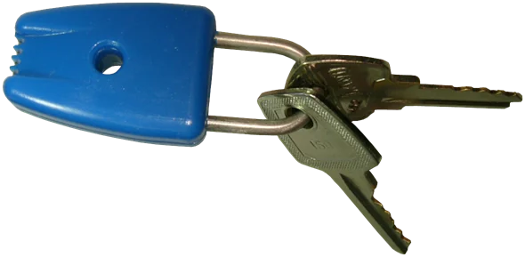 Electronic key fob for Clavium C1 and C3
